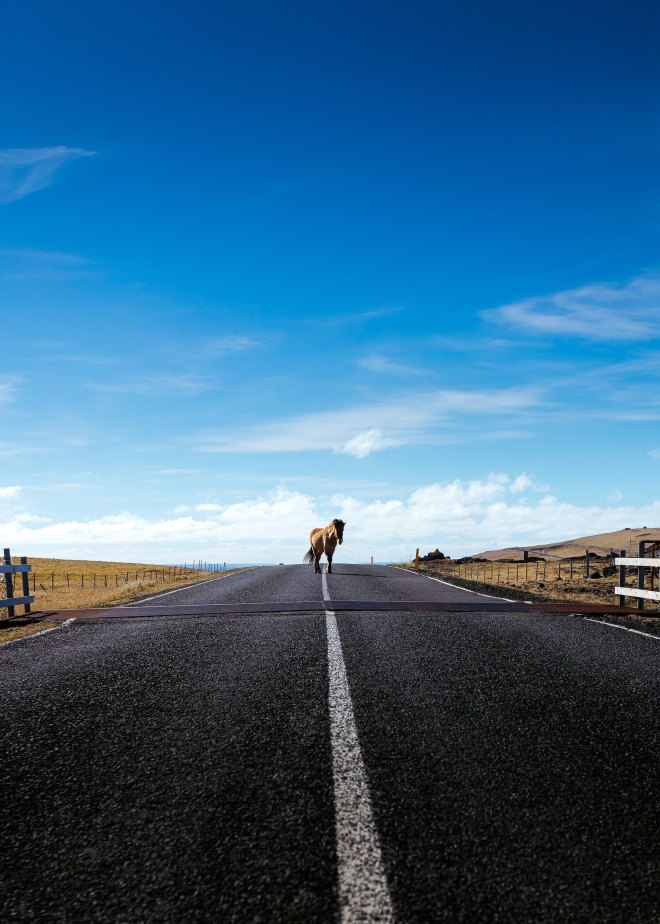 mahkeo-212453-unsplash