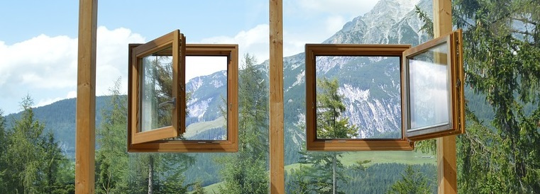 fonster-2.jpg