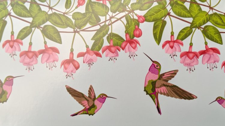 hummingbird.card_.jpg