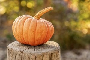 pumpkin-4454745__340-300x200.jpg