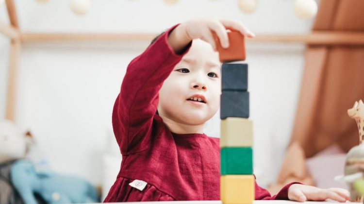 child-playing-wooden-blocks-3662635.jpg