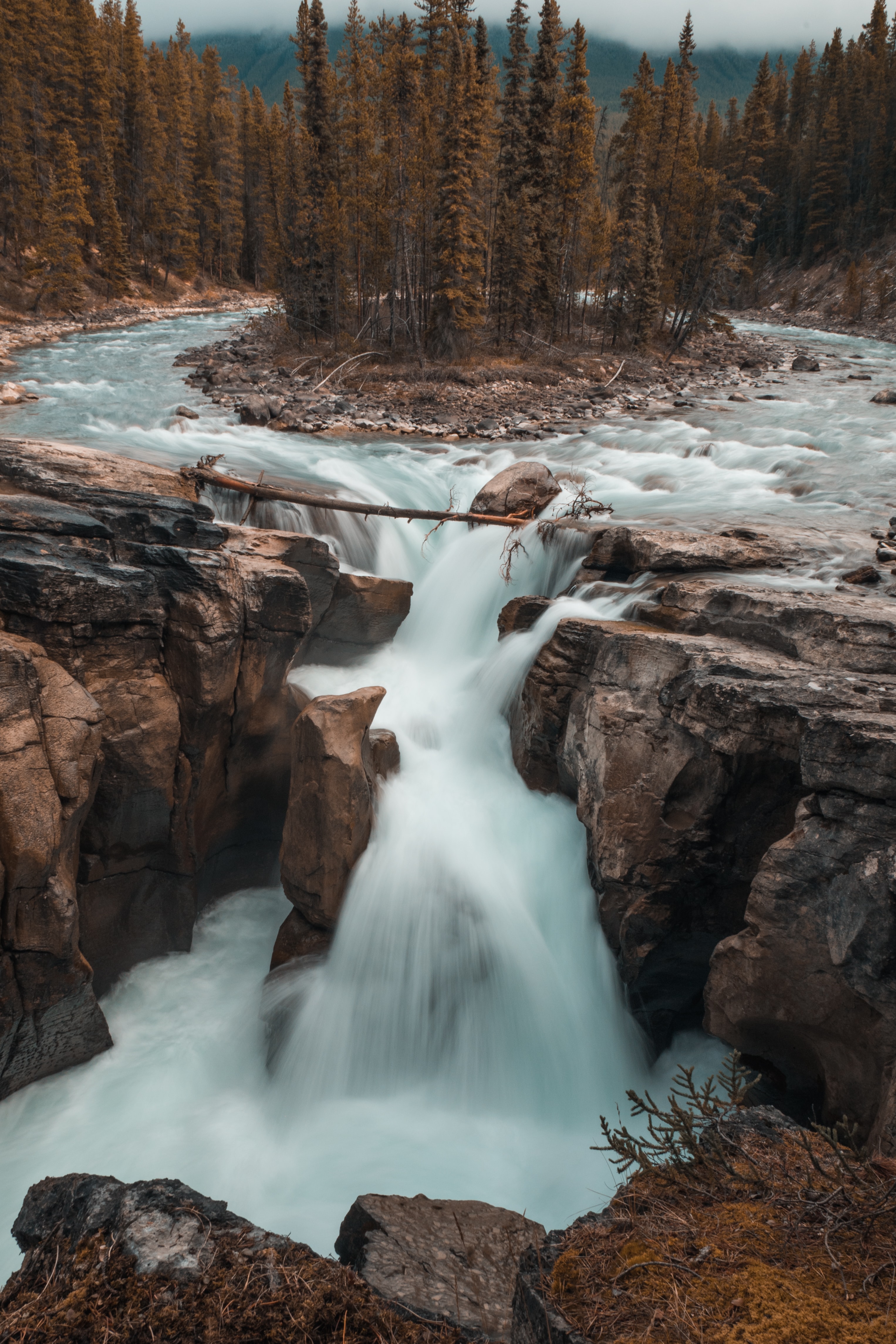 Topic 3 reflection: Currents and Contagions – Open Networked Learning