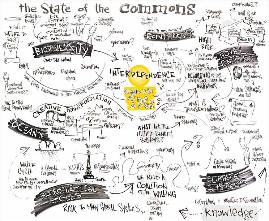 The-state-of-commons-graphs-870b.jpg