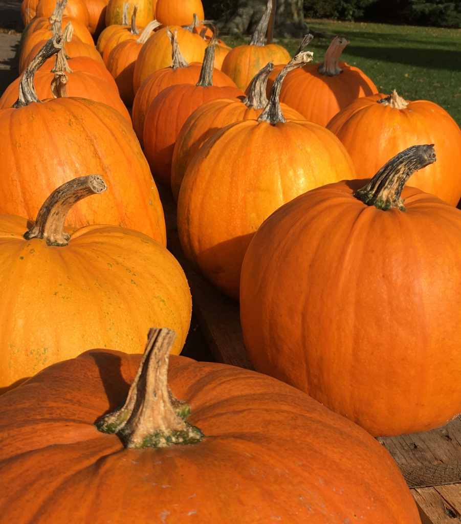 pumpor-2.jpg