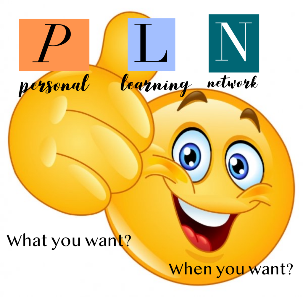 IMG_1375-1024x1004.png