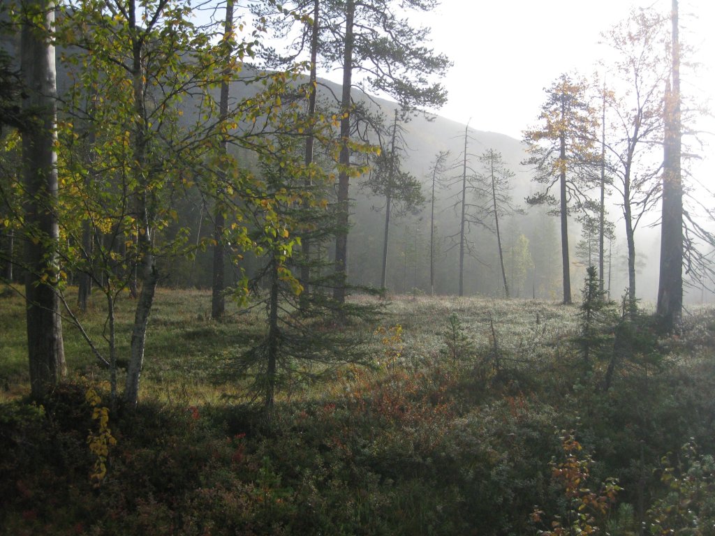 bakgrund-1.jpg