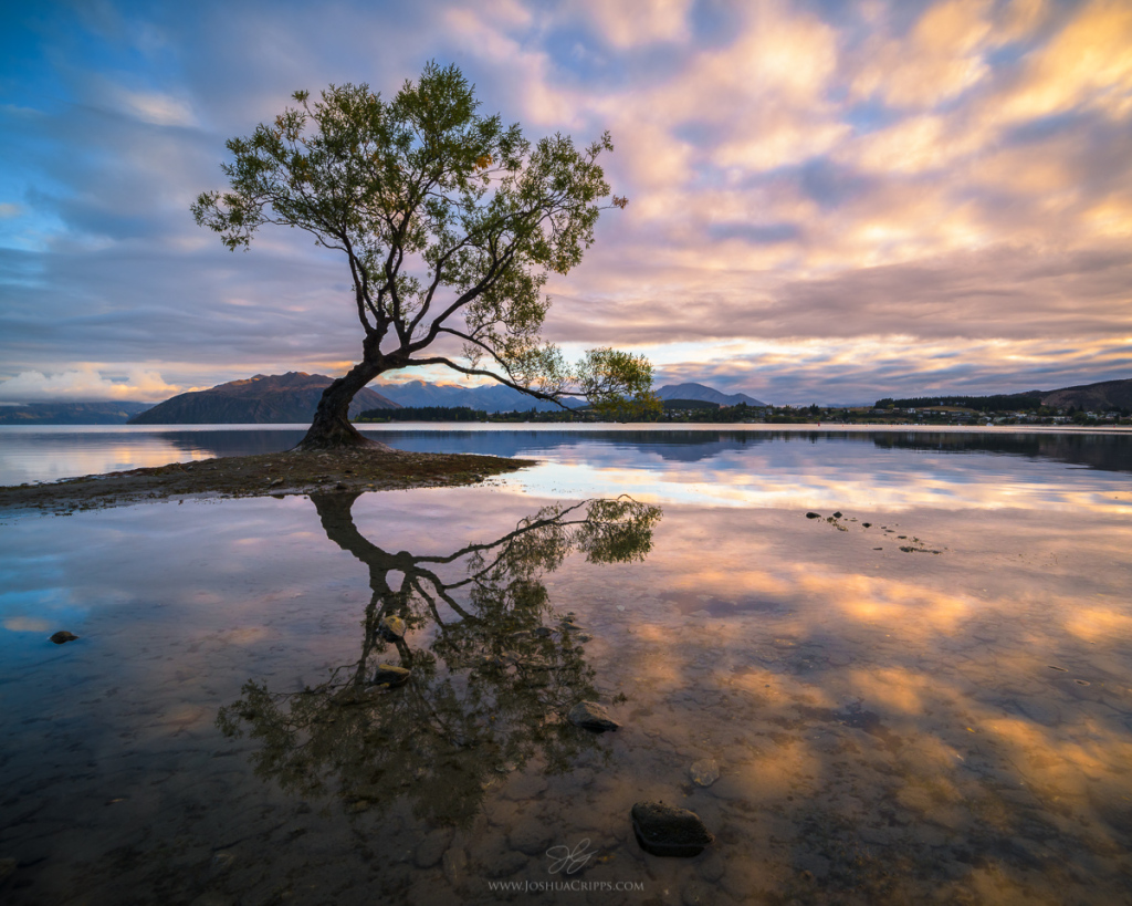 reflections-3.jpg