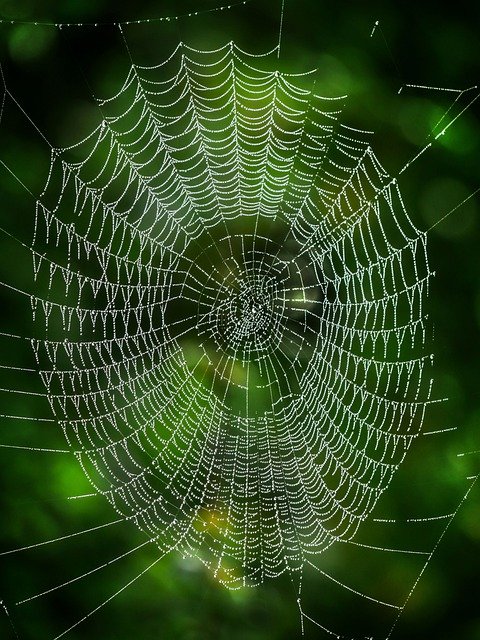 web-6704764_640.jpg