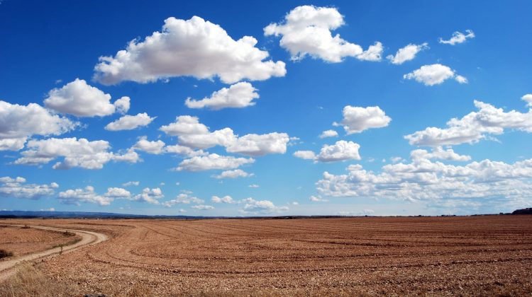 field-clouds-sky-earth-46160.jpg