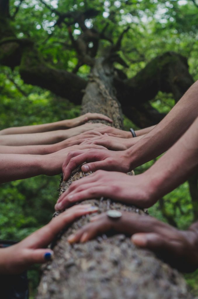 shane-rounce-DNkoNXQti3c-unsplash-scaled.jpg