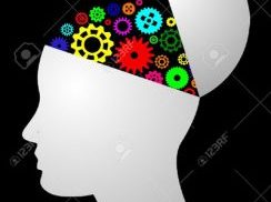 Open-learning-244x300-rogNCJ.jpg