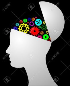 Open-learning-244x300-rogNCJ.jpg